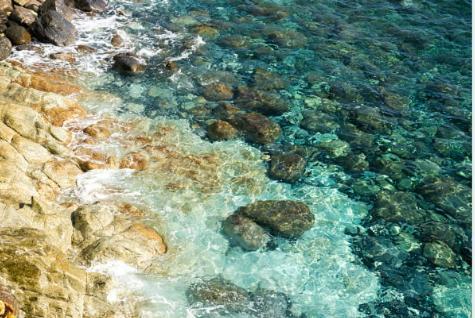 Appartamento Residenza Mimosa Varazze Esterno foto